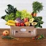 fruta-ensalada-mediana_7