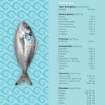 pescado 1