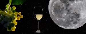 primera bodega Starlight