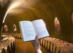 diccionario sobre enoturismo