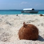 coconut-1577282_640