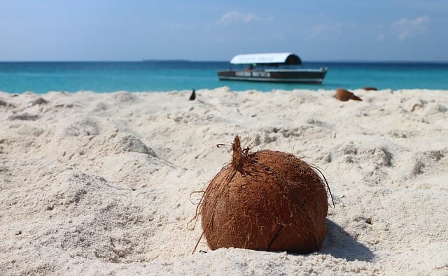 coco playa caribe