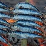 sardinasweb