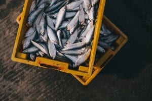 Aumento del consumo de pescado en España