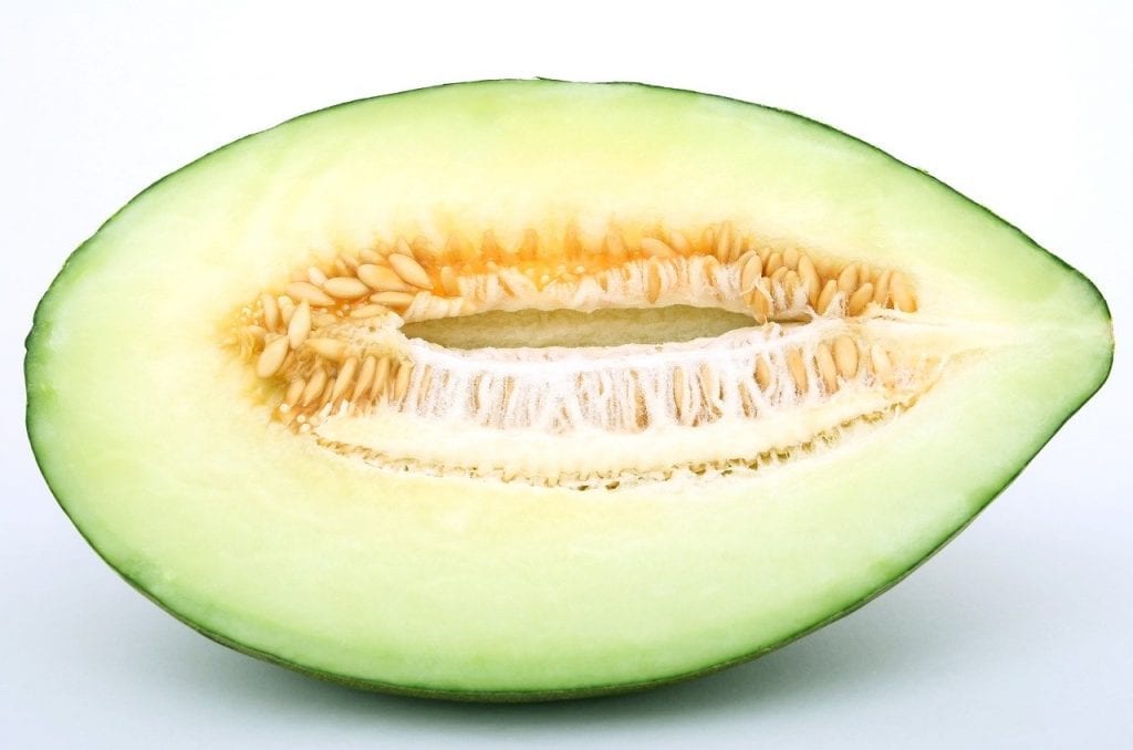 beste Melonen in Spanien