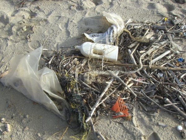 Plásticos en la playa