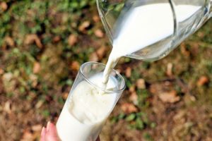 Crisi del latte