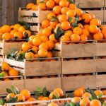 proveedores-naranjas-mirador