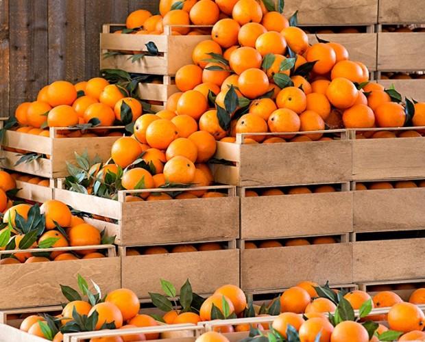 naranjas de Valencia online