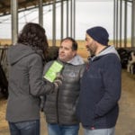 Quién es el jefe – la marca de los consumidores (5)
