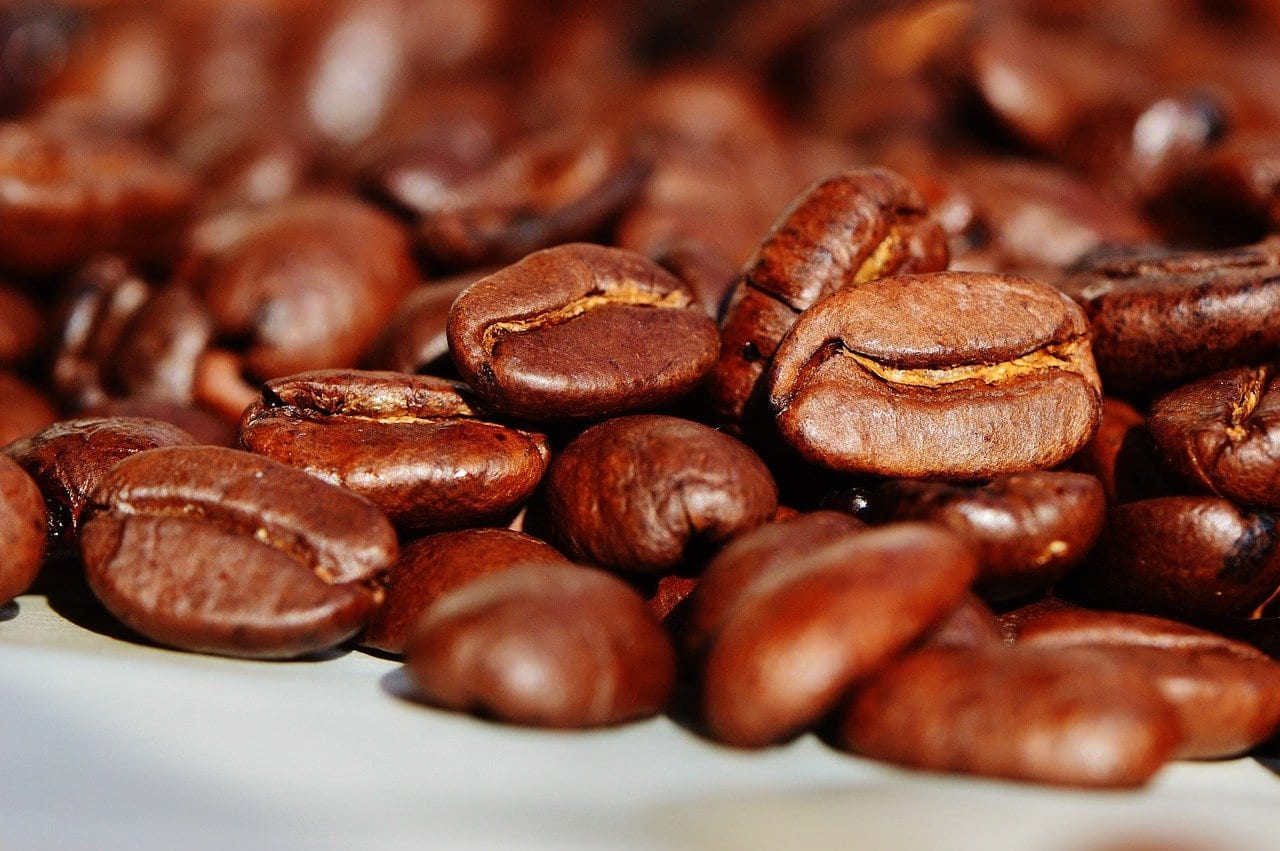 granos de café/café torrefacto