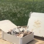 Caja-Suscripcion-300×300