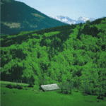 Valle del Roncal