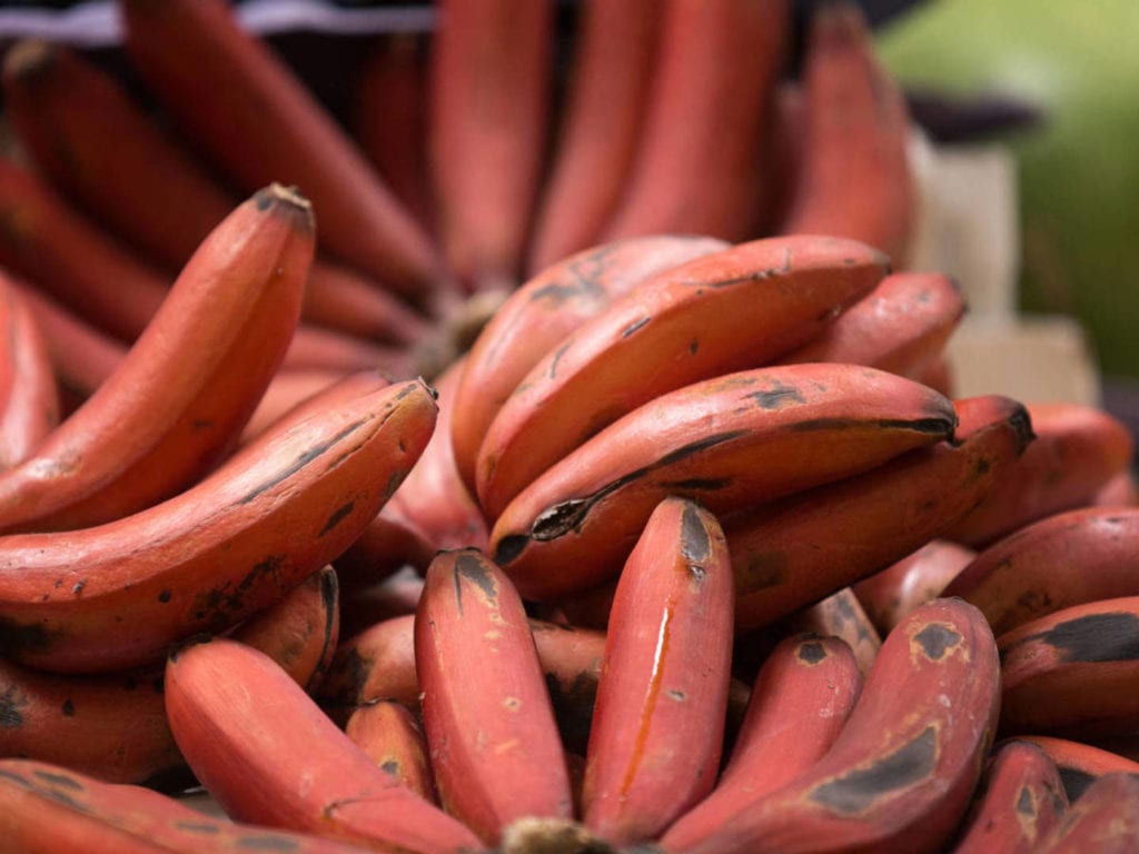Plátano rojo de Canarias