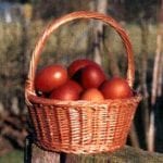 marans2