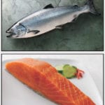 Salmon-real-Alaska-seafood-1