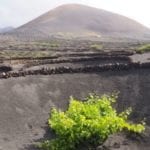 lanzarote9