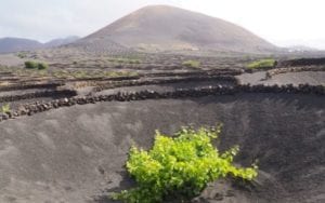 Lanzarote