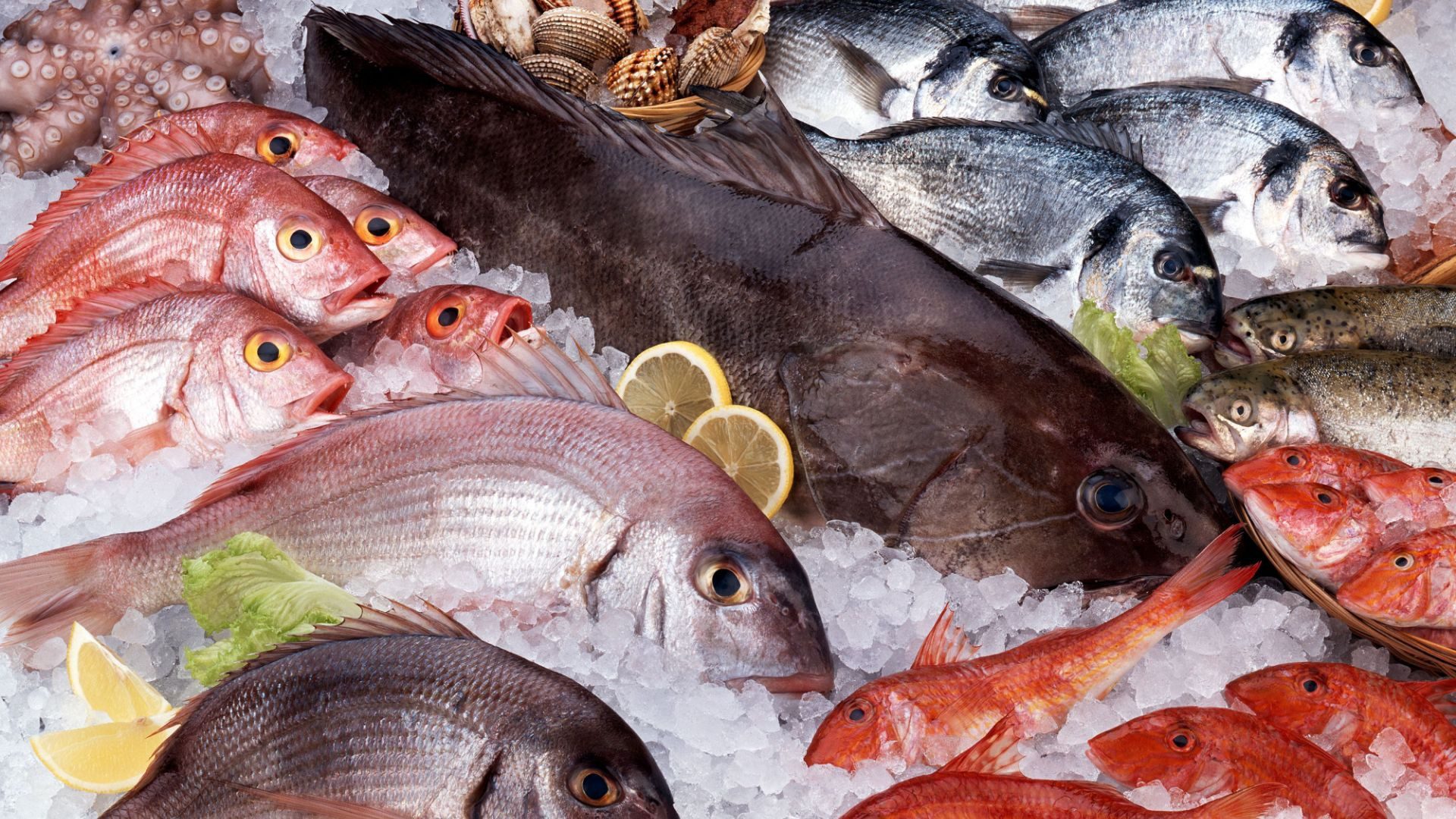 Fraude alimentaire/fruits de mer
