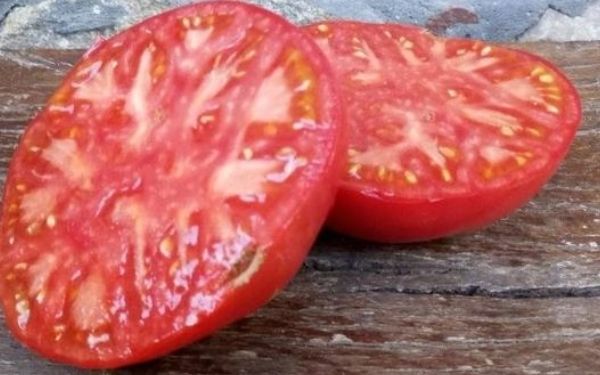 Mejor tomate de España, variedad  Aretxabaleta