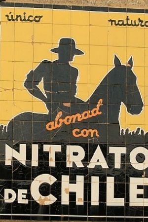 Chilenisches Nitrat-Poster. Foto: I.G.