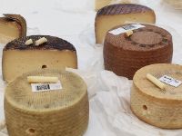 Muestras quesos de Oviedo concurso