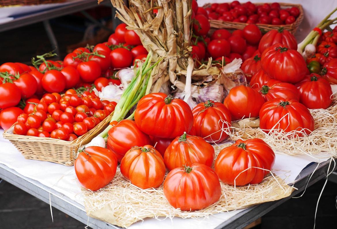 Korb mit Tomaten für Gazpacho