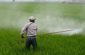 ¿Cuánto pesticida comemos en la UE? Pesticidas