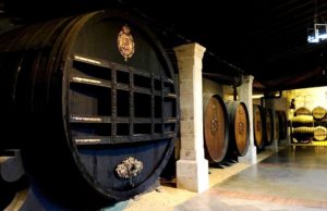 El vino fino entra en una nueva dimensión vino fino