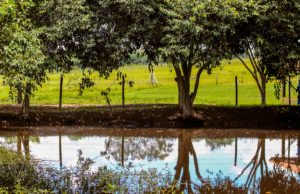 Después del producto ecológico