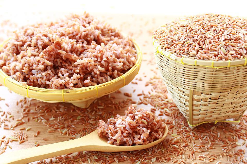 Reis ist eines der wichtigsten Lebensmittel der panamaischen Küche.