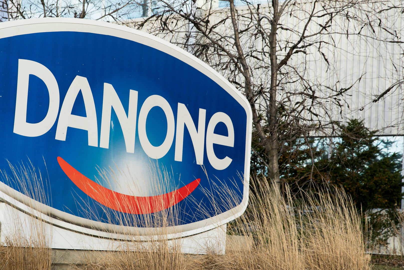 Logo de Danone, marca acusada de estafa por reduflación