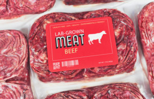 Carne cultivada: casi la tenemos carne cultivada