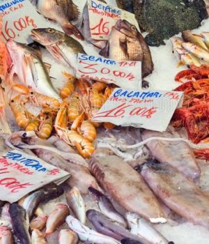 pescado de temporada