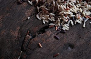 Arroz rojo: ¿más completo que el blanco? Granos de arroz rojo