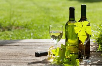 La Revolución de los vinos veganos vino blanco