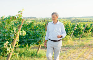 Plan del presidente de los vinos del Penedés vinos del Penedés
