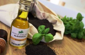 Albahaca: todos sus beneficios albahaca