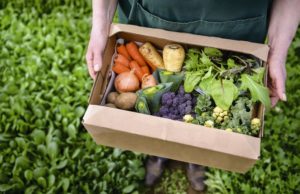 Alimentos bio: en continuo crecimiento alimentos bio