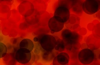 ¿Qué significan los microplásticos en nuestra sangre? microplásticos en la sangre
