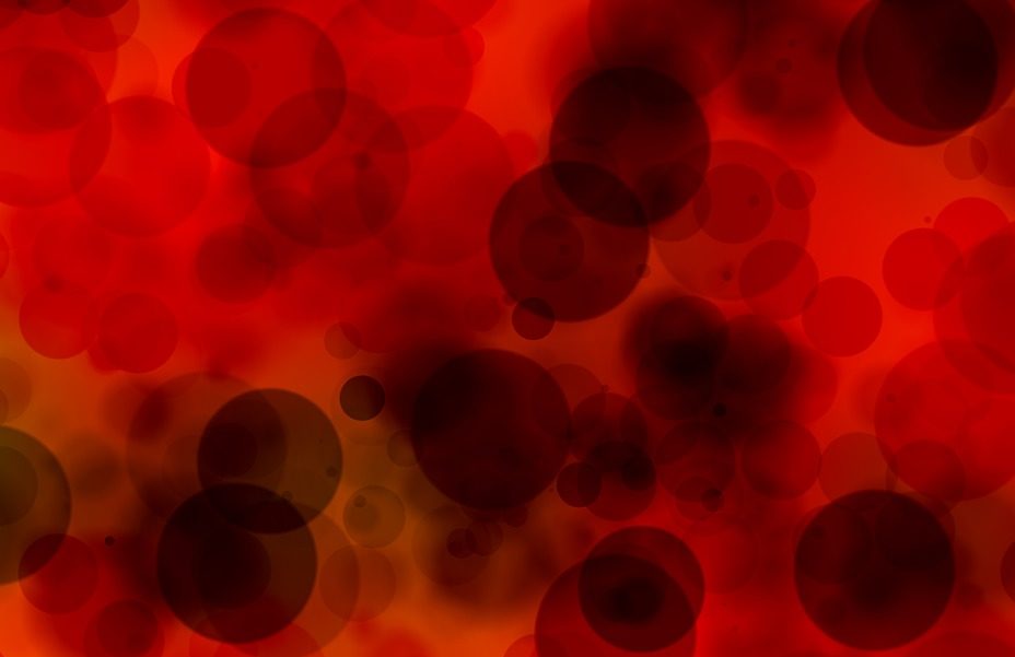 microplásticos en la sangre