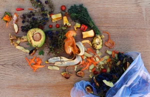 El calor dispara el desperdicio alimentario, evítalo! desperdicio alimentario