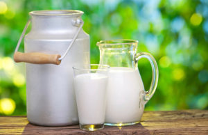Leche de yegua: un gran descubrimiento leche de yegua/leche entera