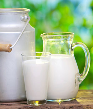 leche de yegua/leche entera