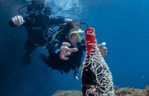 Vinos marinos: ¿en qué se diferencian? vinos submarinos