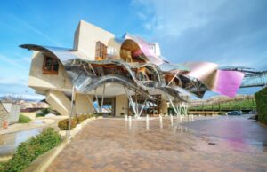 Visita la Rioja Alavesa y su vendimia Rioja Alavesa