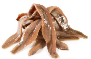 Anchoa: ¿por qué es un pez único? anchoa