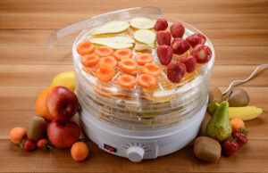 Deshidratador de alimentos: ¿cuál es el mejor? deshidratador de alimentos