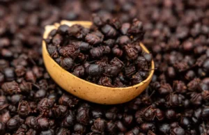 Hormigas culonas: más caras que la cocaína hormigas culonas