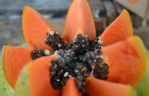 Semillas de papaya: todas sus propiedades semillas de papaya